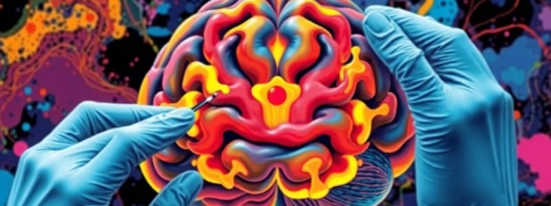 Neuroscience Brain Lesion Techniques Quiz