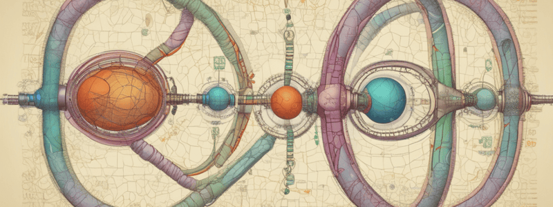 Metabolic Processes Integration and Control