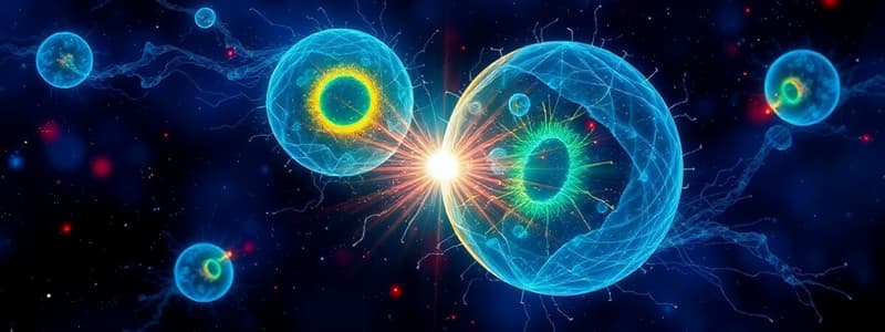 Mitosis and Meiosis Quiz