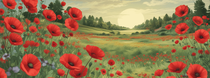 Sylvia Plath's 'Poppies in July' Poem Analysis