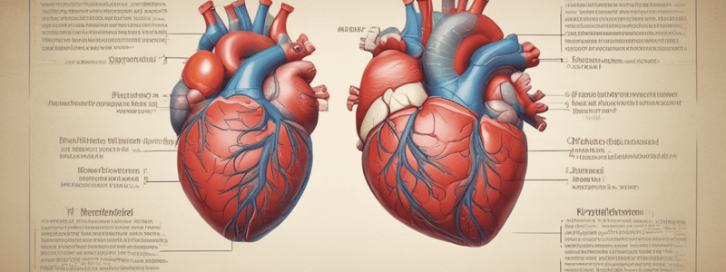 Lecture 1.1a - CVS anatomy