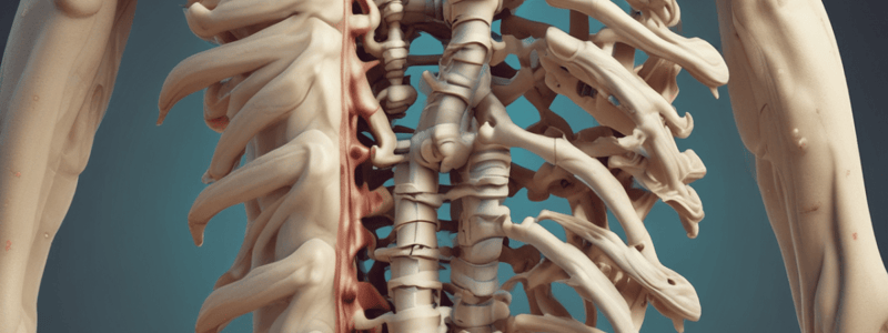 Spinal Curvatures Quiz