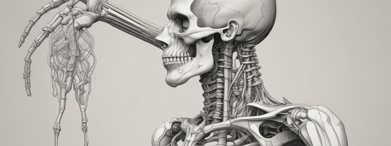 Bone Structure and Pressure Distribution