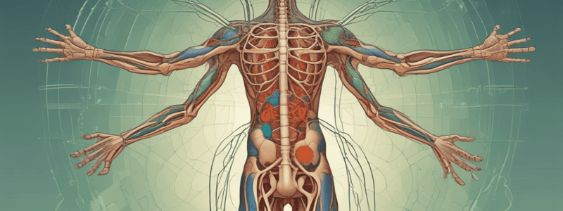 Lymphatic System Course Outline