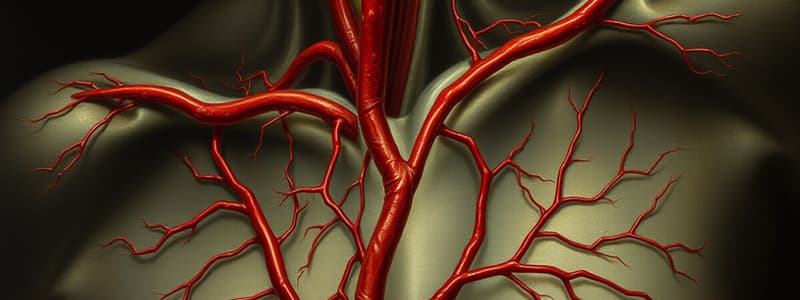 Blood and Vascular System Overview