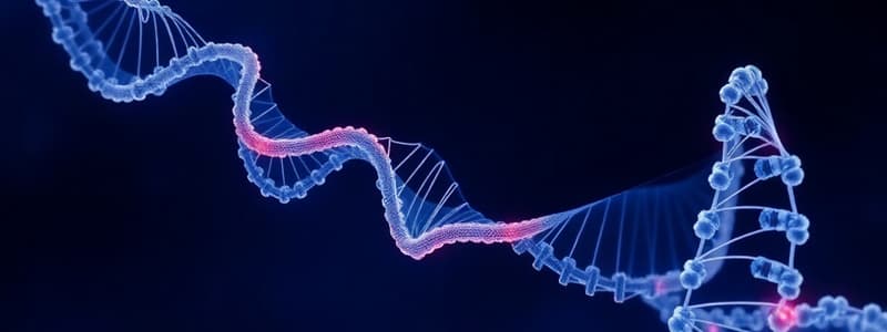 Polypeptide Chains & Protein Structure