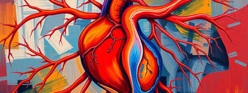 The Cardiovascular System Quiz