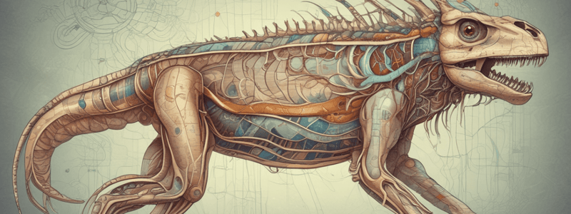 Zoology 120: Animal Physiology - Peripheral Nervous System