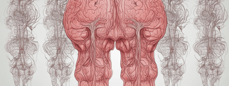 Stroke Overview and Rapid Treatment