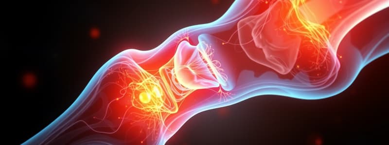 Bone Healing Stages Overview