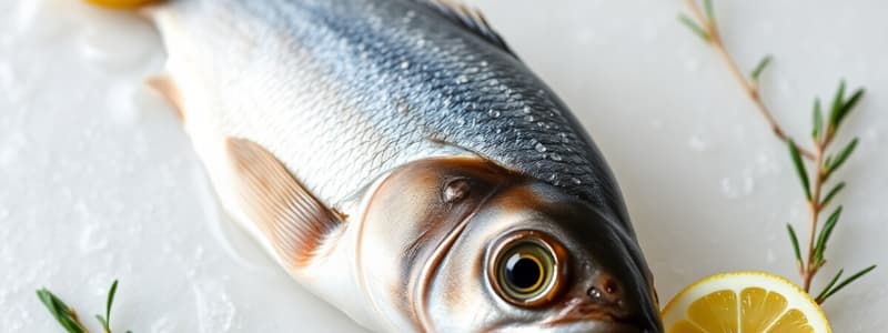 Fish Freshness Assessment Techniques