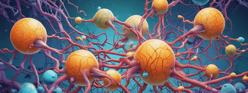 TP 7 : Phosphatase Alcaline - Rôle et Fonctionnement