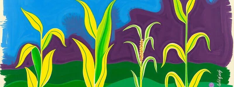 Botany Quiz: Growth Stages of Bean and Corn Plants