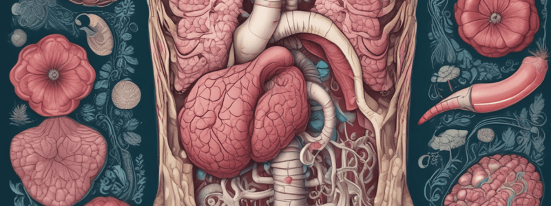 Digestive Tract: Introduction