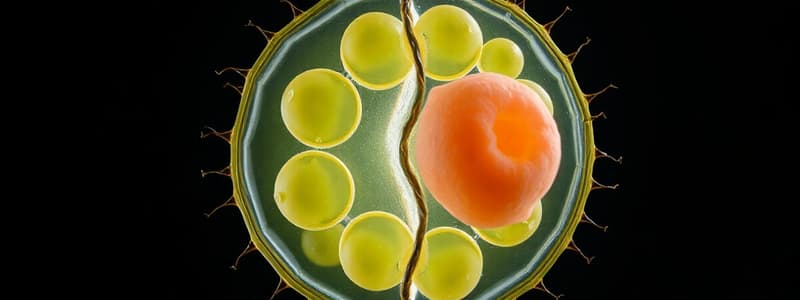 Cell Division and Reproduction