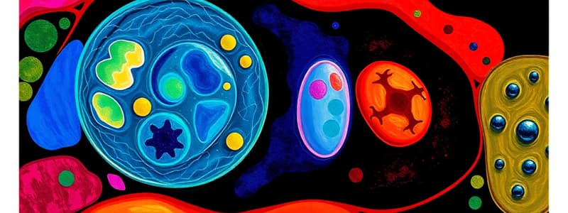 Introduction to Embryology