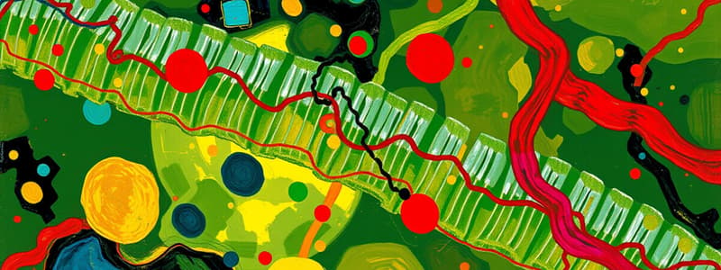 Cell Biology: Plasma Membrane and Lipids