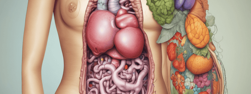 Upper Gastrointestinal Disorders Nutrition