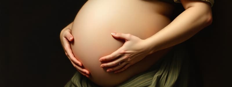 Maternity: Prenatal Period and Uterus Changes