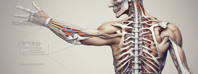 Nerve Injuries: causes and prevention