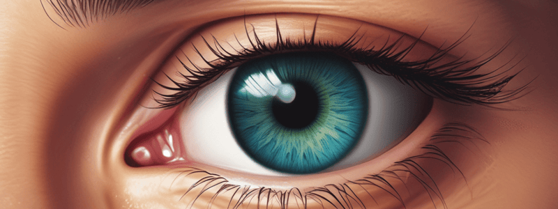 Presbyopia Correction Options