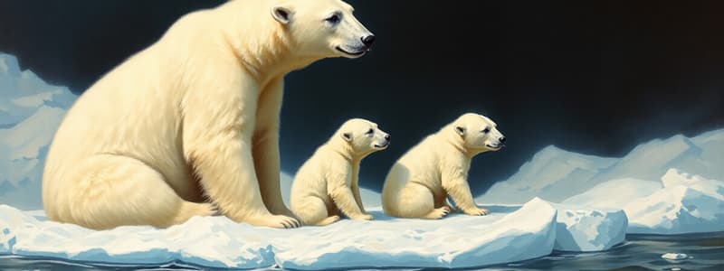 Polar Bear Life Cycle Quiz