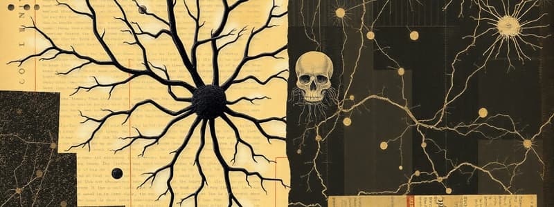 Neuroscience Quiz on Neurons and Neuroglia