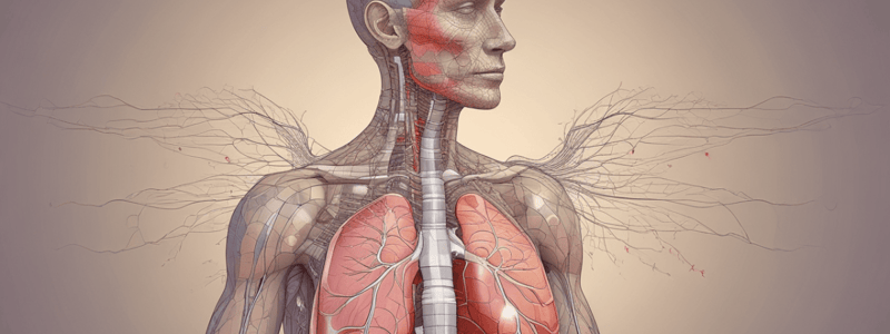 Respiratory System: Inspiration and Breathing Mechanics