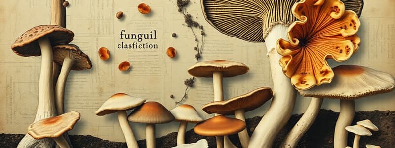 Fungi Classification and Nutrition Quiz