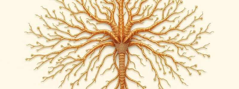 Nervous System Fundamentals Quiz