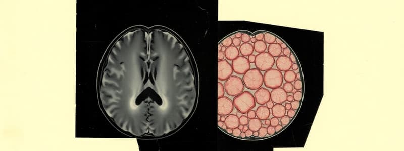 MRI Image Processing Fundamentals