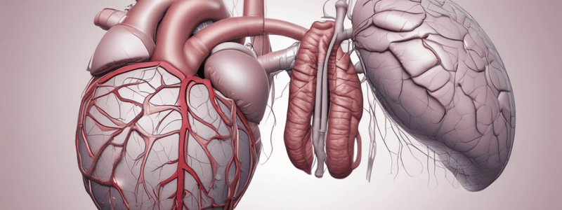 Valvulopatías 5 - Enfermedades Valvulares Cardiacas: IM Crónica Secundaria