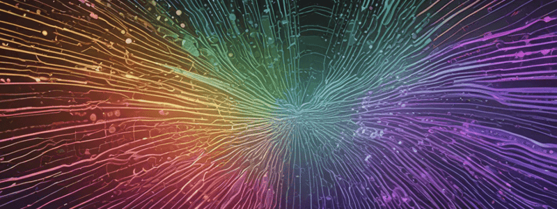 Processing of Light Signals in Vision