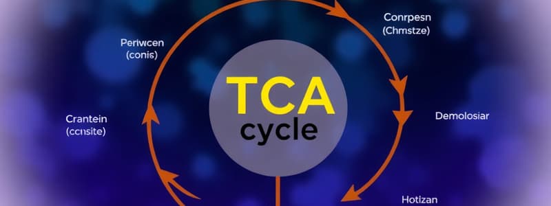 Biochemistry TCA Cycle Quiz