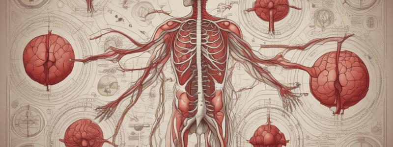 Histoire de la circulation sanguine