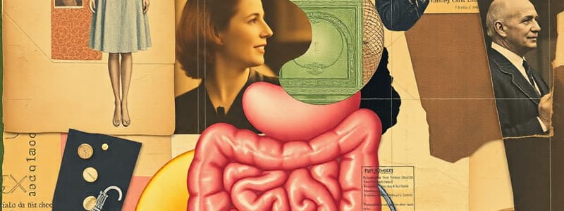 Digestive System Overview