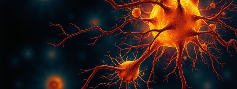 Neuroglial Cells Overview