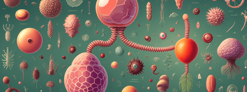 Protein Synthesis and Subcellular Localization