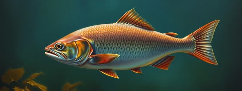 Fisheries Science Concepts Quiz