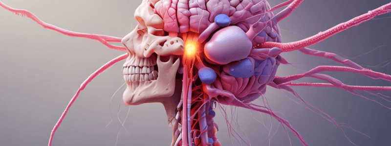 Mechanism of Action of Morphine and Opioid Receptors