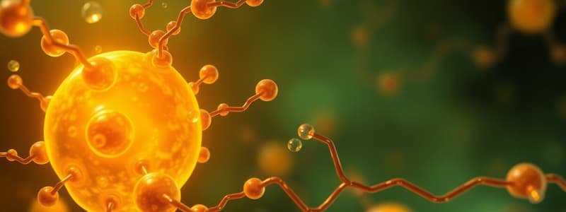 Lipids: Phospholipid & Sphingolipid Metabolism