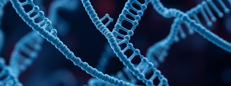 Dephosphorylation & DNA Ligases