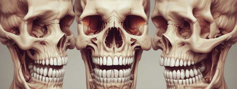 Dentine Structure and Function