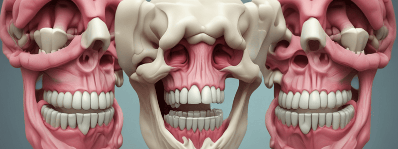 Anatomy of Molars