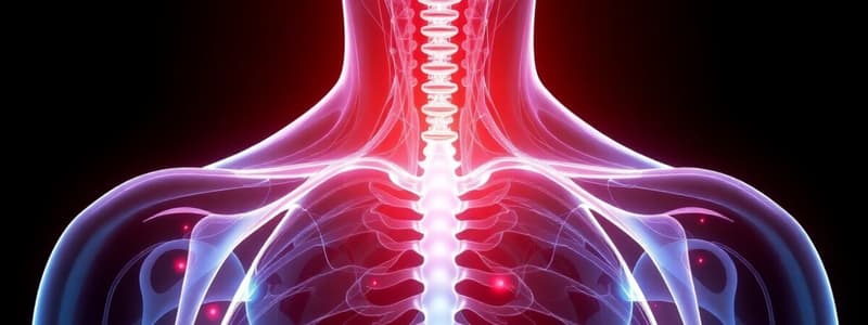 Thyroid Function and Hormone Regulation