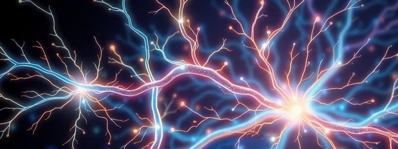 Efferent Pathways in Nervous System