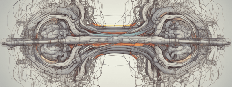 Motor Units and Neuromuscular Junctions