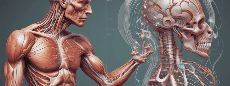 Muscle Physiology: Neuromuscular Transmission L2