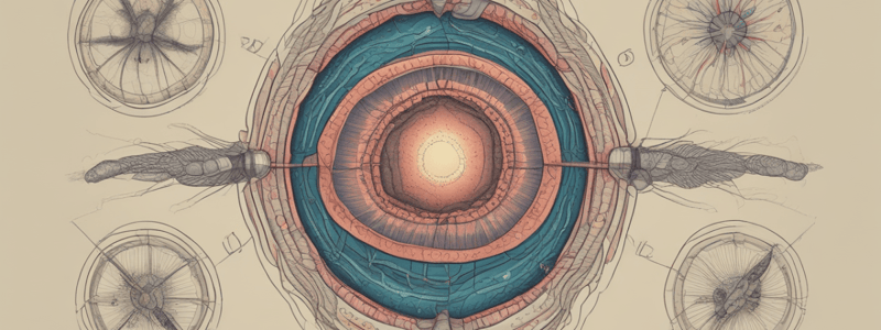 Ancylostoma duodenale: Characteristics and Habitat