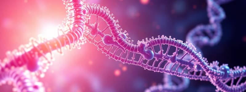 Gene Regulation and Chromatin Structure Quiz